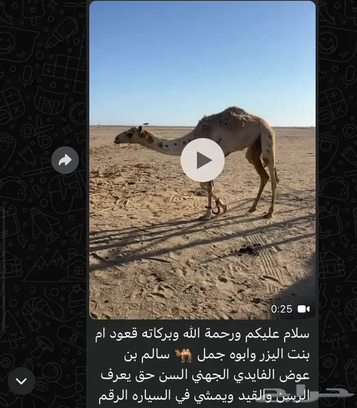 قعود 0