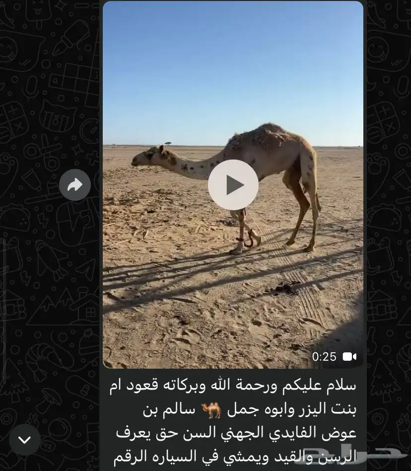 قعود 0