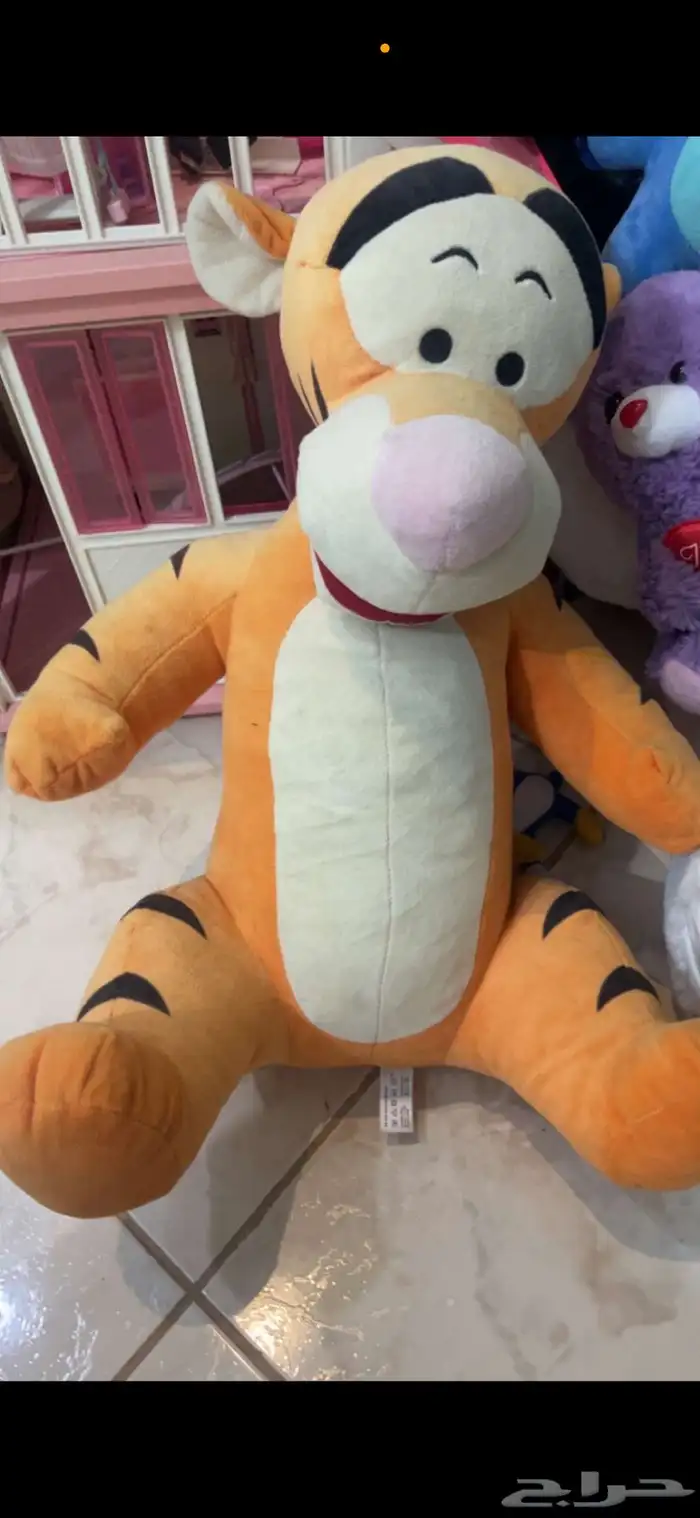دبب 8