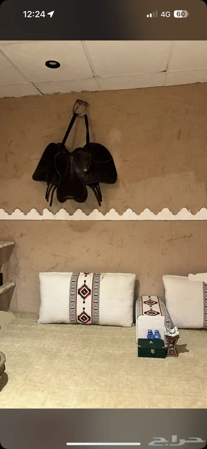 مربط عذية للخيل العربية ( تدريب ركوب   ايواء خيل   ) 1