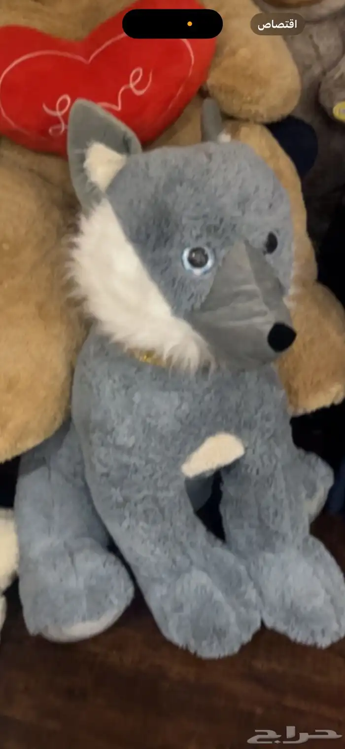 دبب 1
