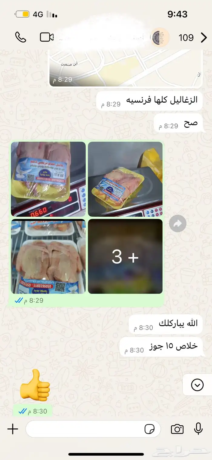 زغاليل حمام فرنسي 4