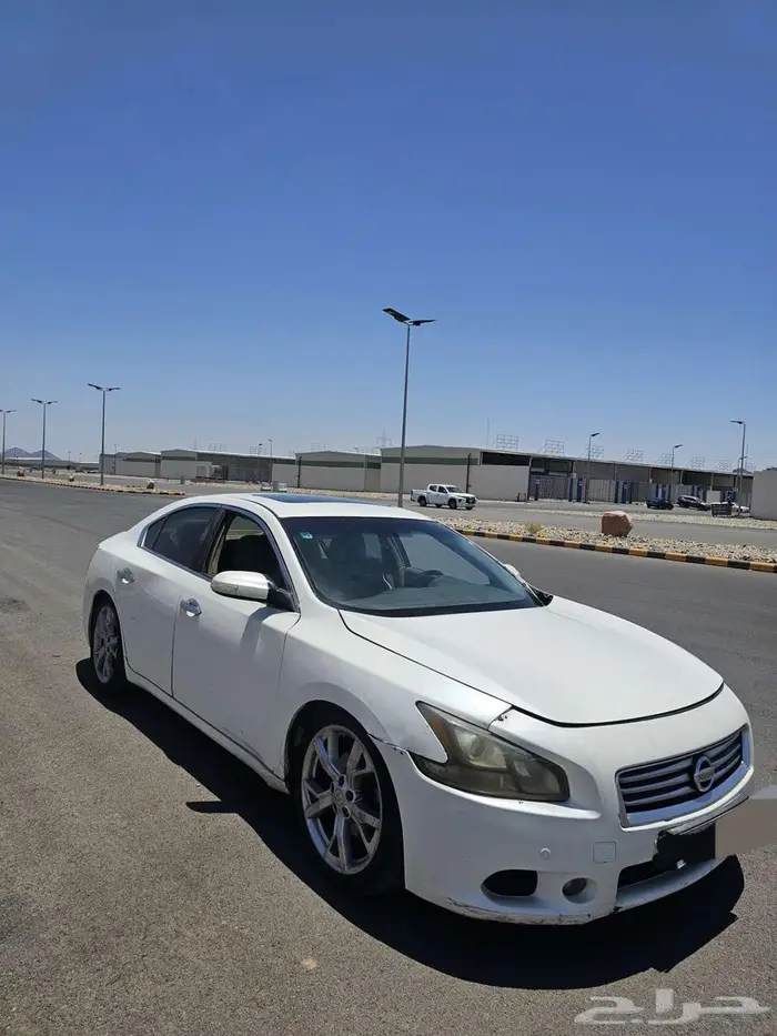 المدينة المنورة 8