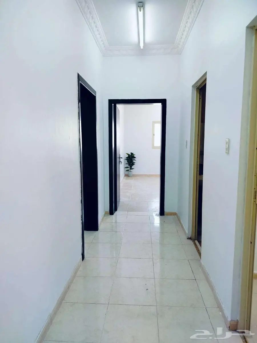 حي طيبه 10
