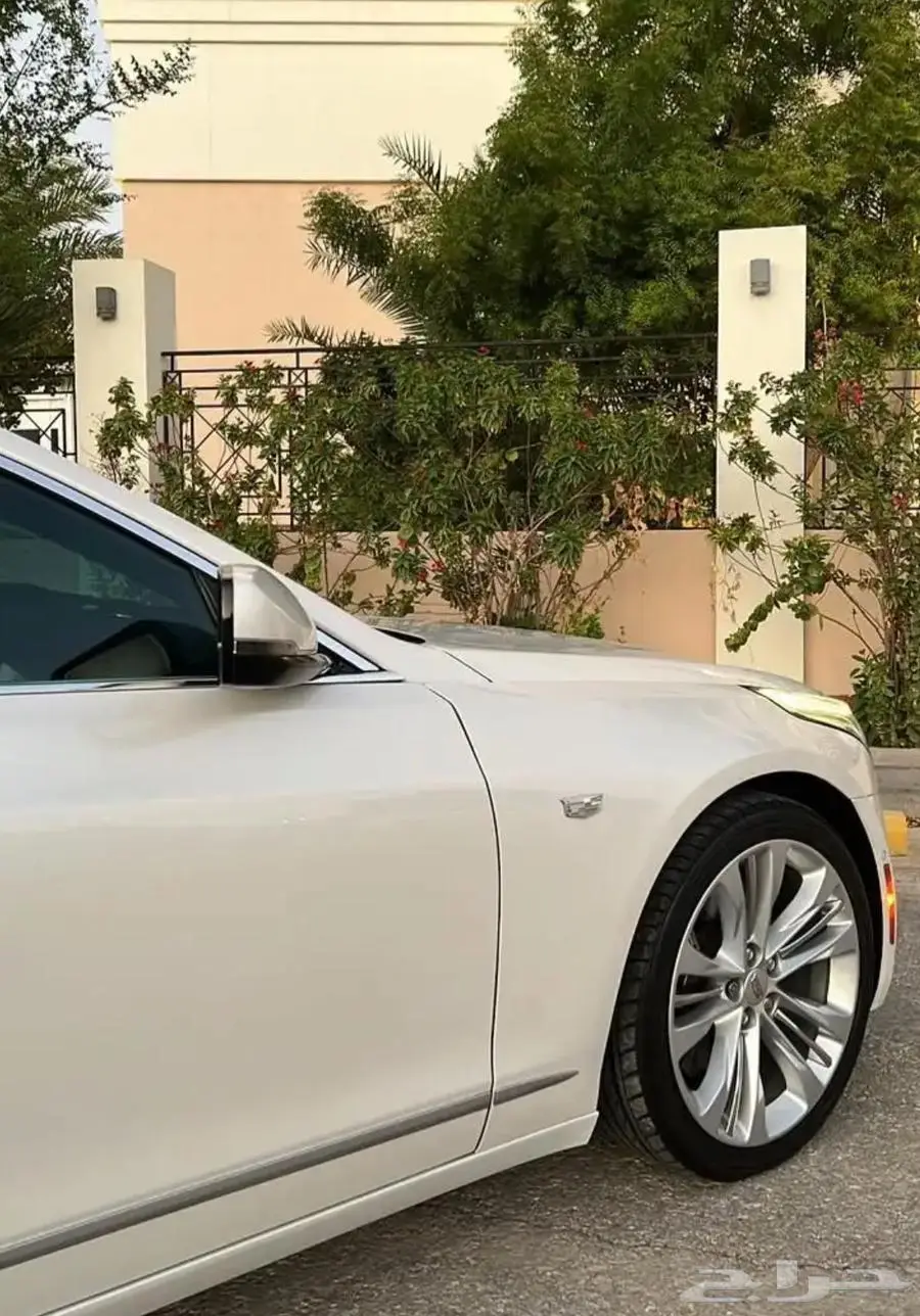 كاديلاك بلاتينوم أعلى فئه نظيف 8