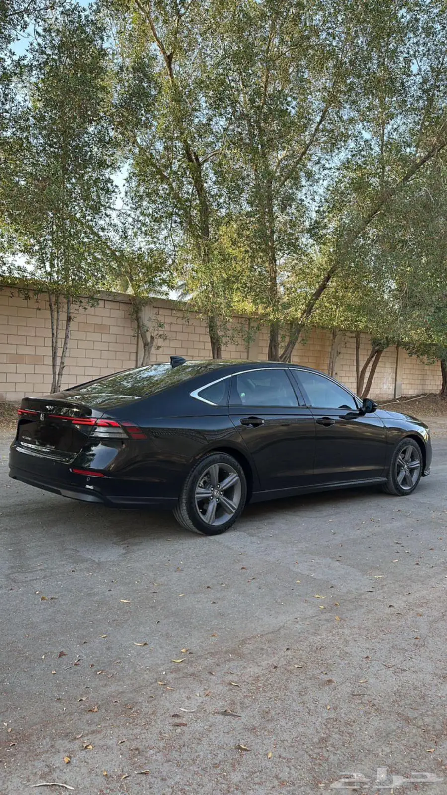 اكورد 2023 0