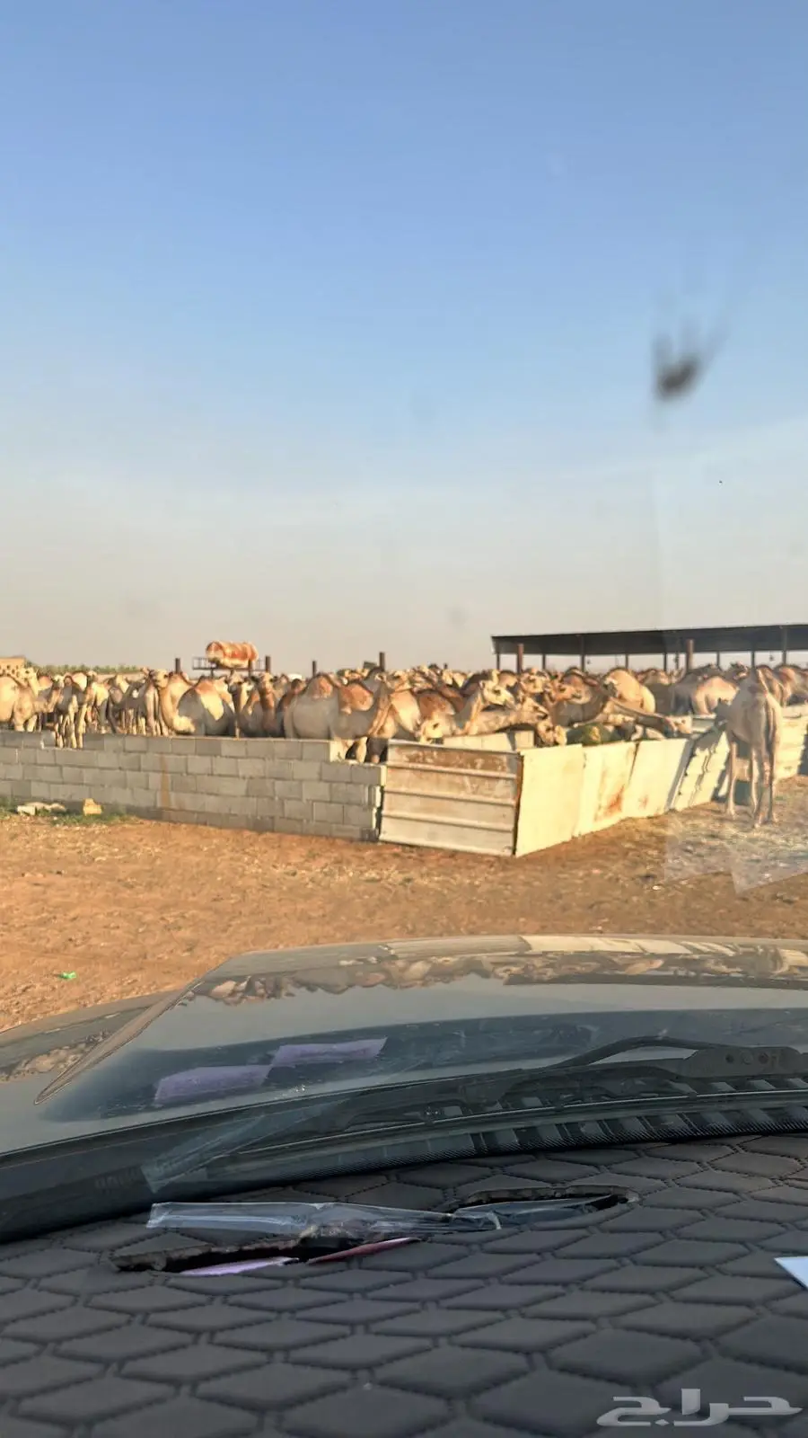 الخرج 0