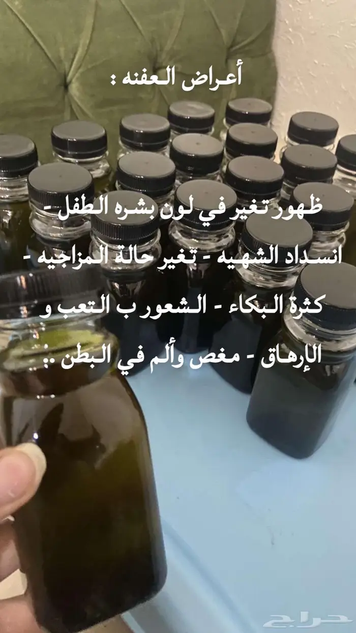 زيت العفنه 1