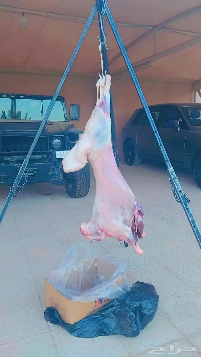 معلم مشويات شوي خارجي 3