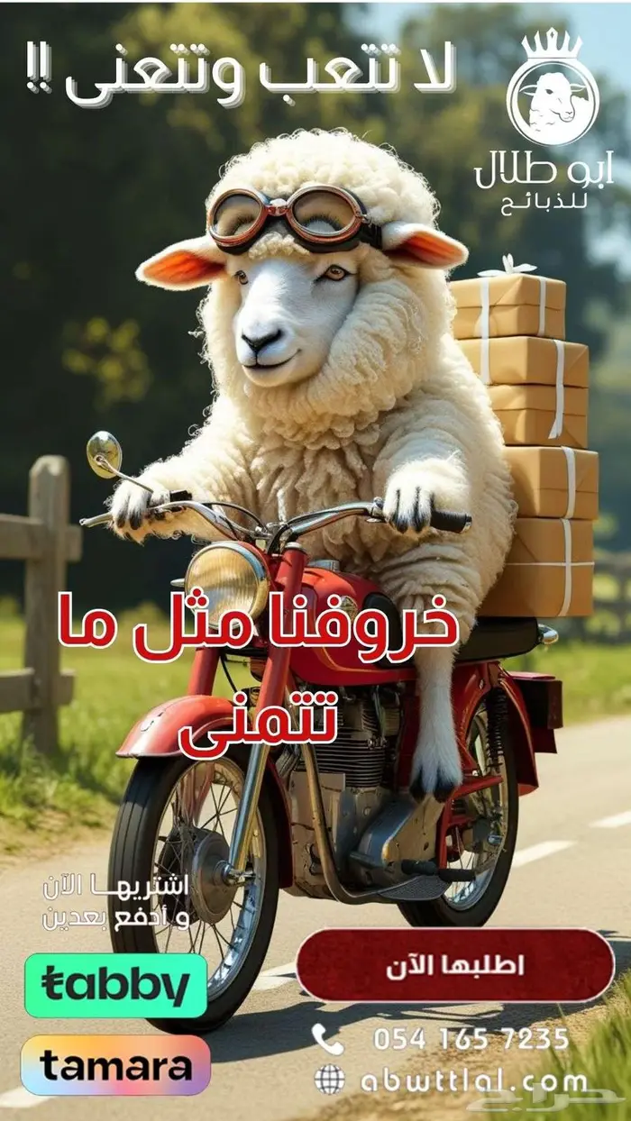 لا لاتفكر ولاتحتار.. أبو طلال للذبائح هو الخيار 3