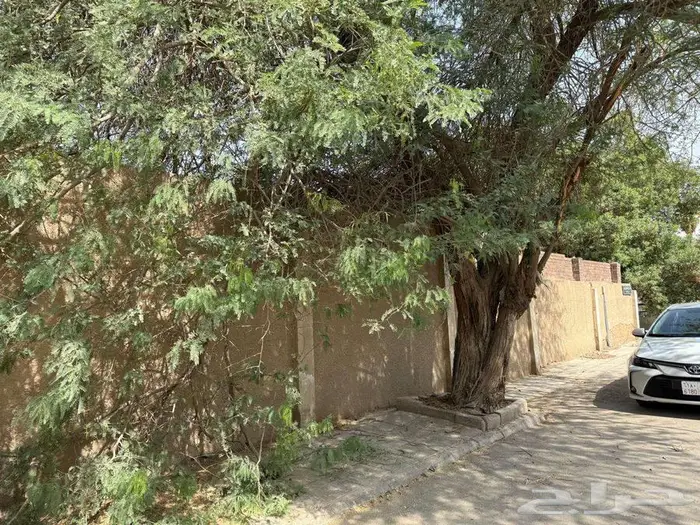 أرض سكنية بي الزهراء الرياض 5