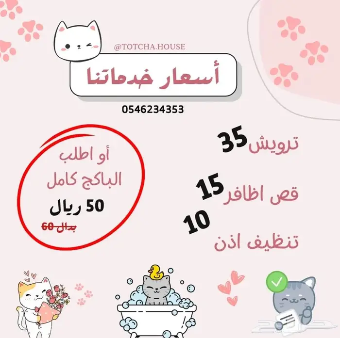 فندقة قطط 1