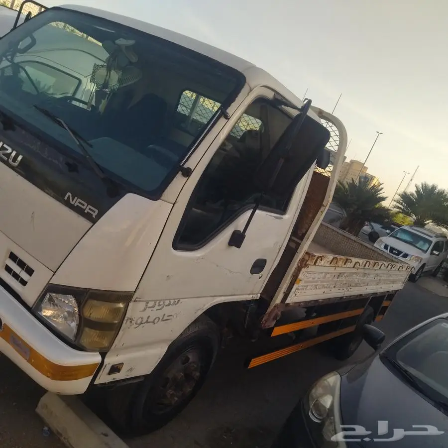 دينا ايسوزو وكالة 4