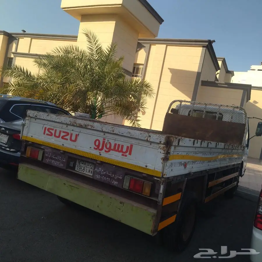 دينا ايسوزو وكالة 0