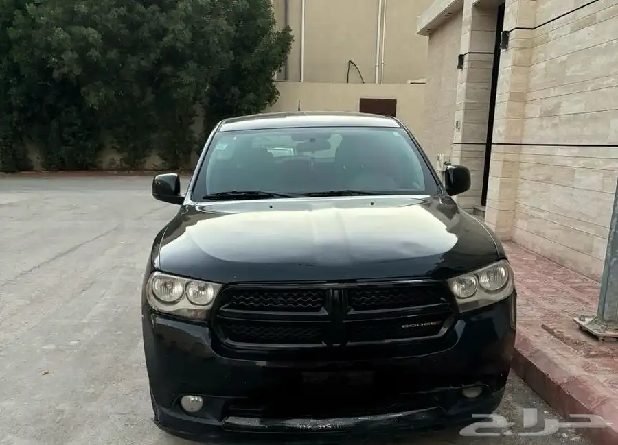 دودج درانجو 0