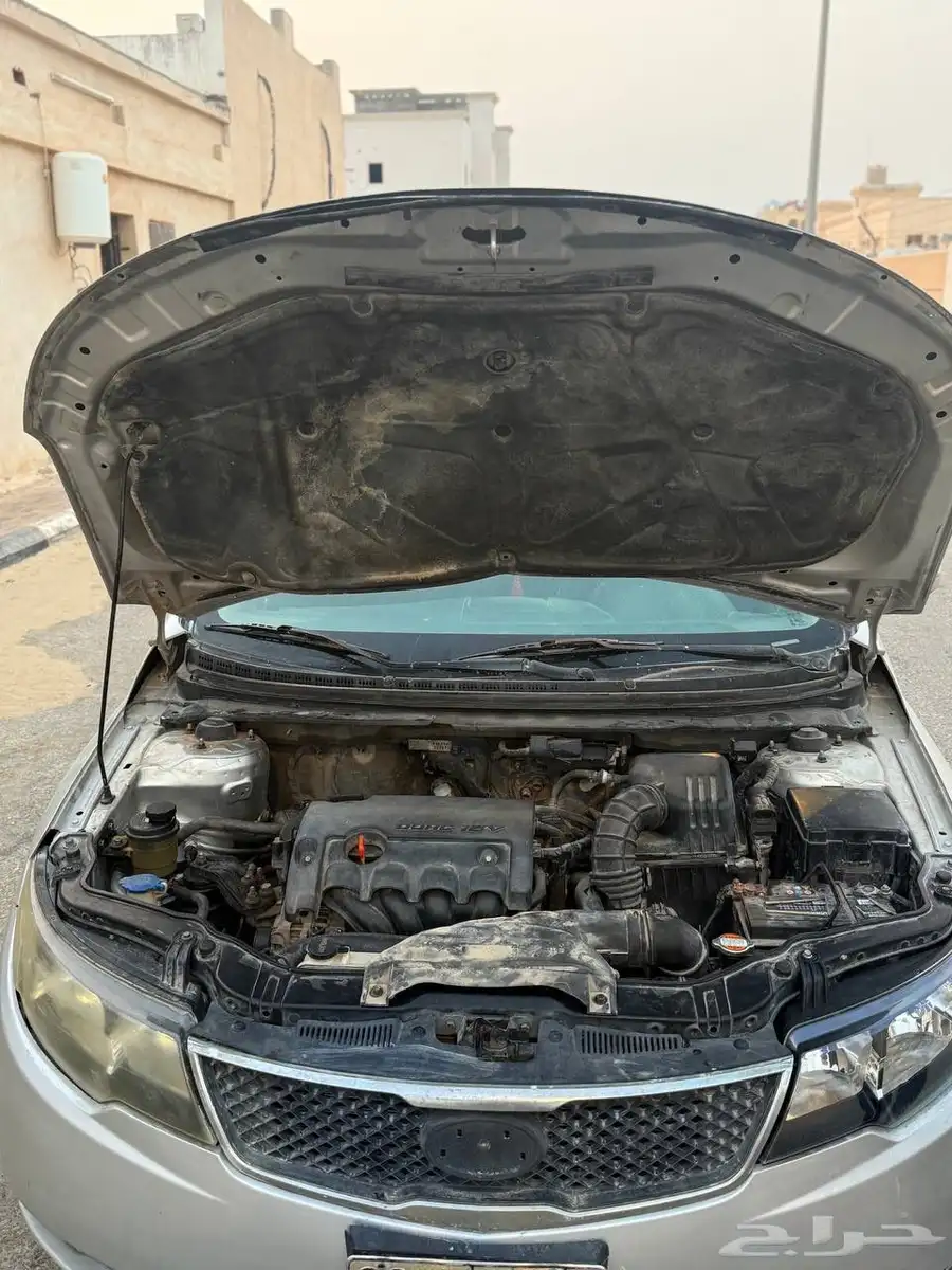 سيراتو2012 14