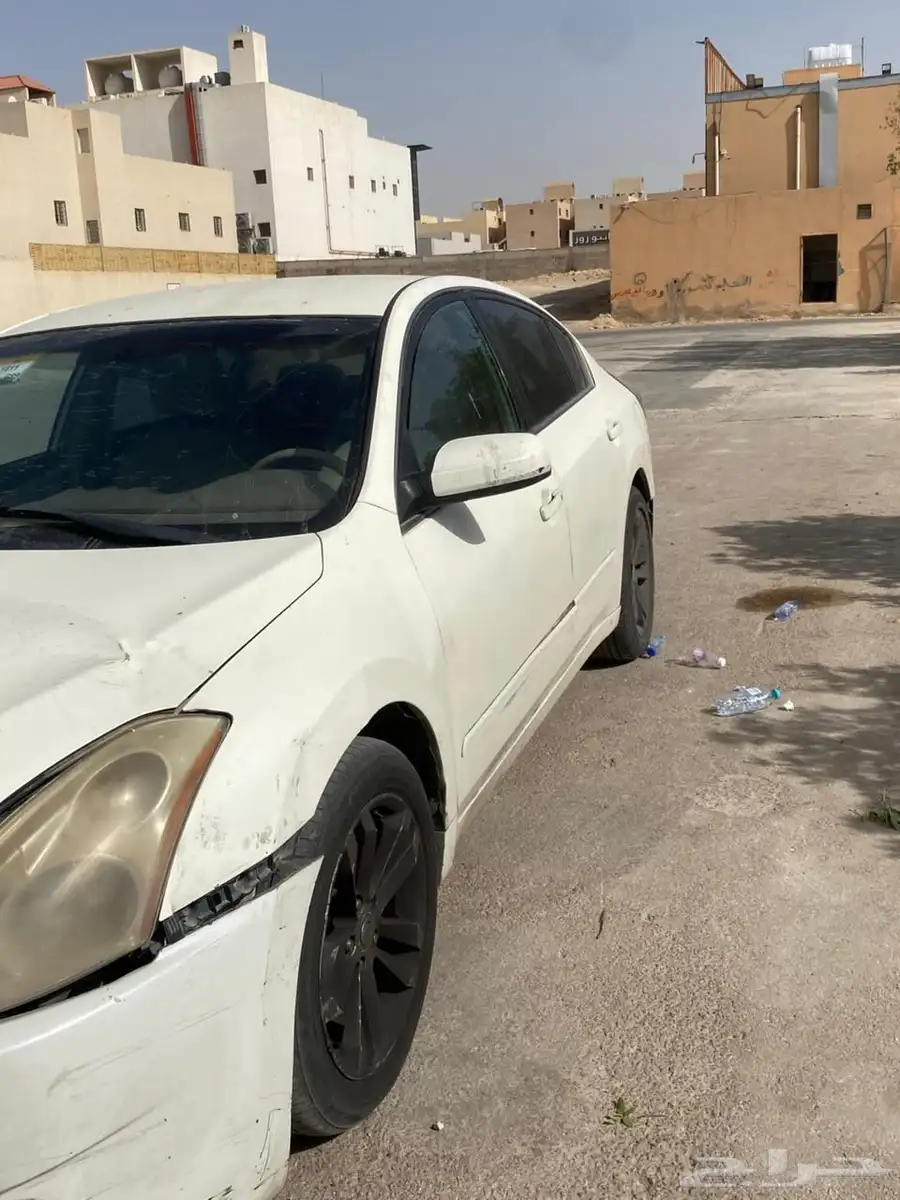 التيما 14