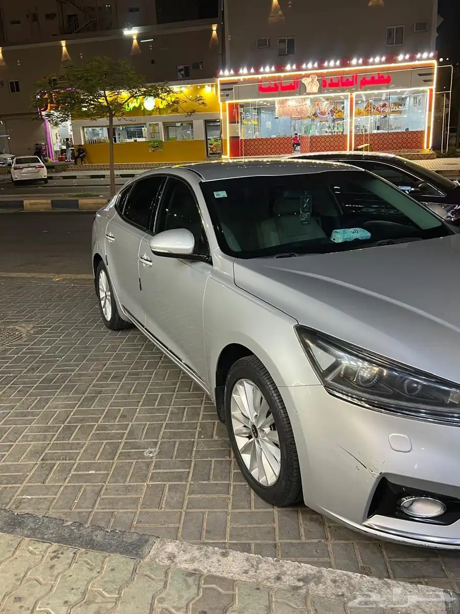 كادنزا 2018 3