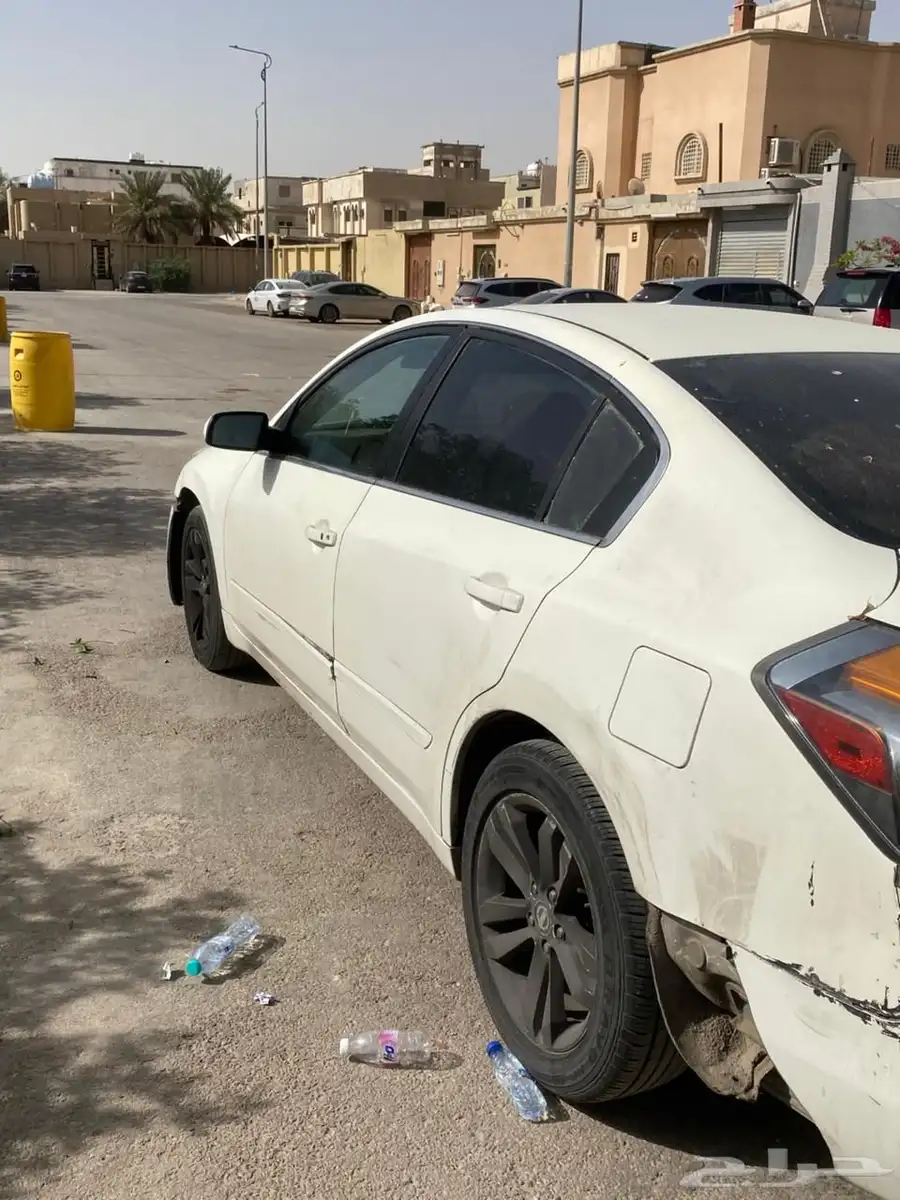 التيما 8