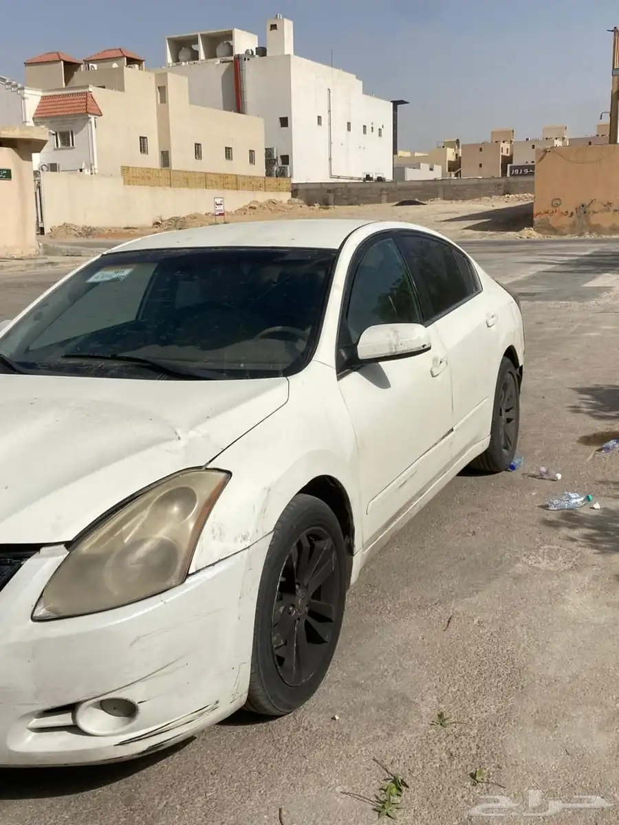 التيما 12
