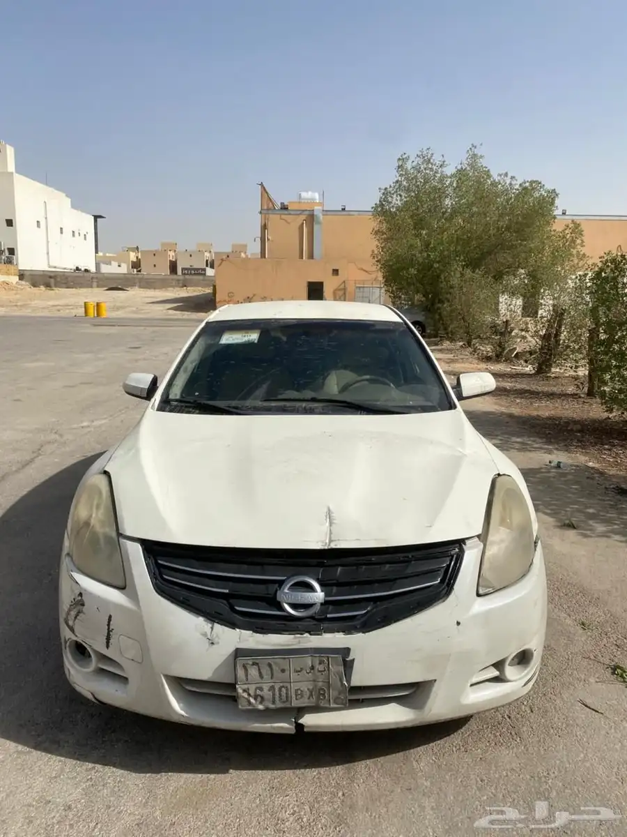 التيما 10