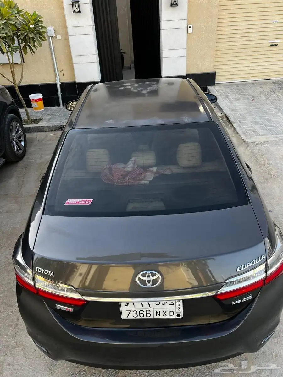 كورولا 2019 7