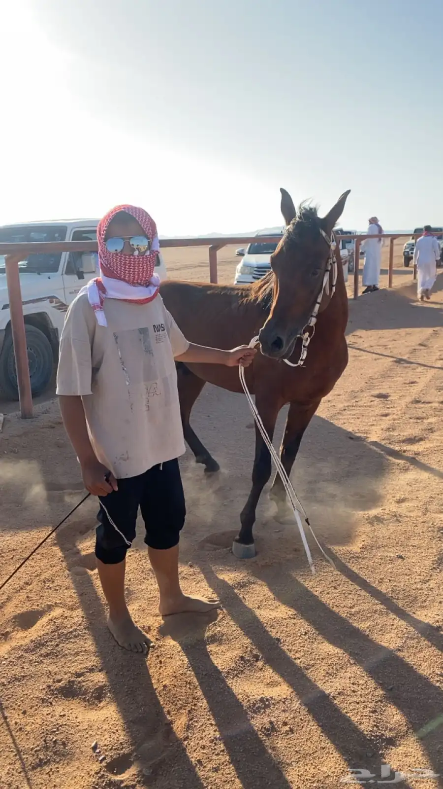 خيل 7