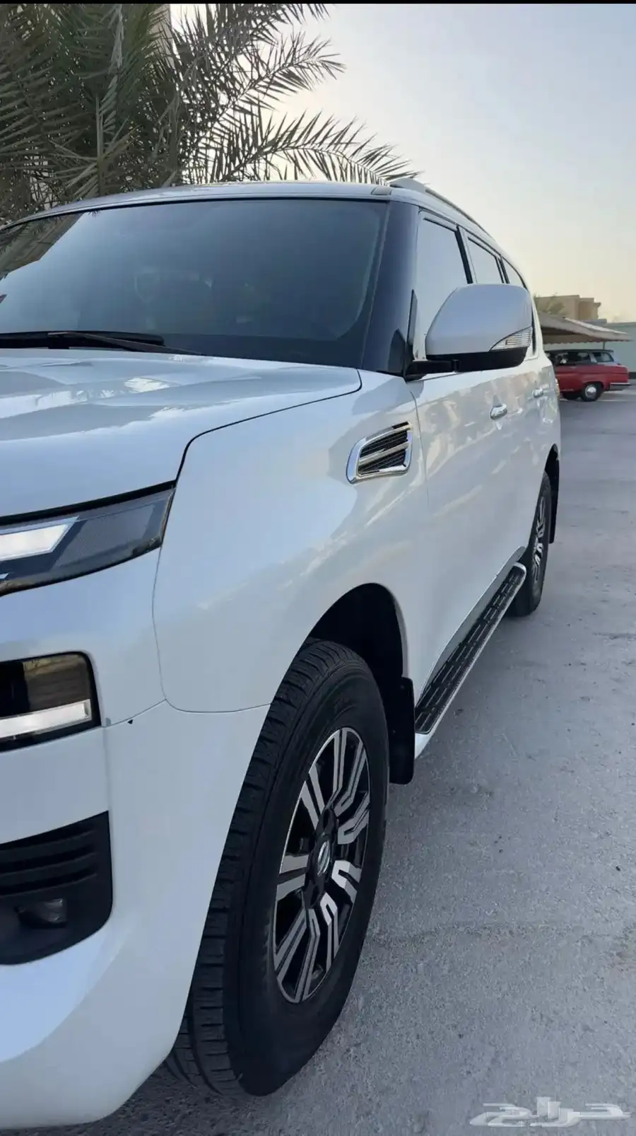 باترول قمة النظافة 4