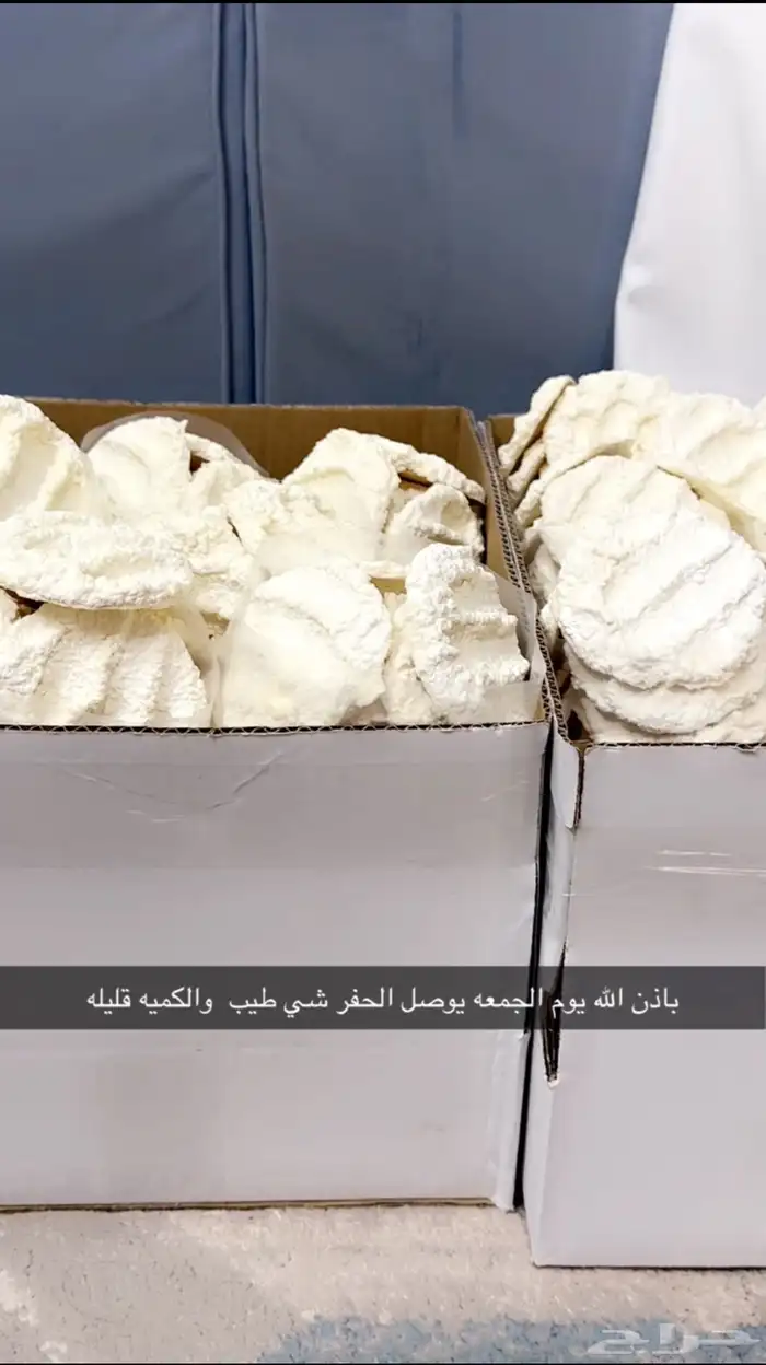 مضير -بقل-اقط 0