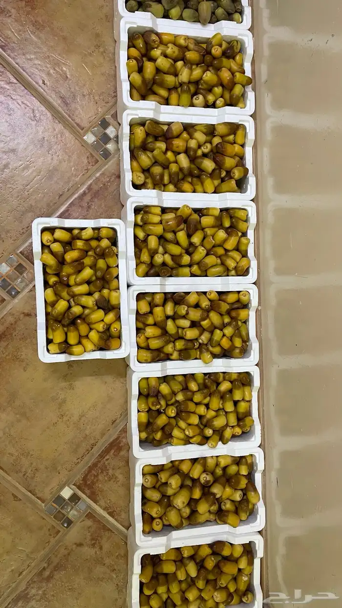 رطب سمنة قدح وبرني وخضري وليمون 2
