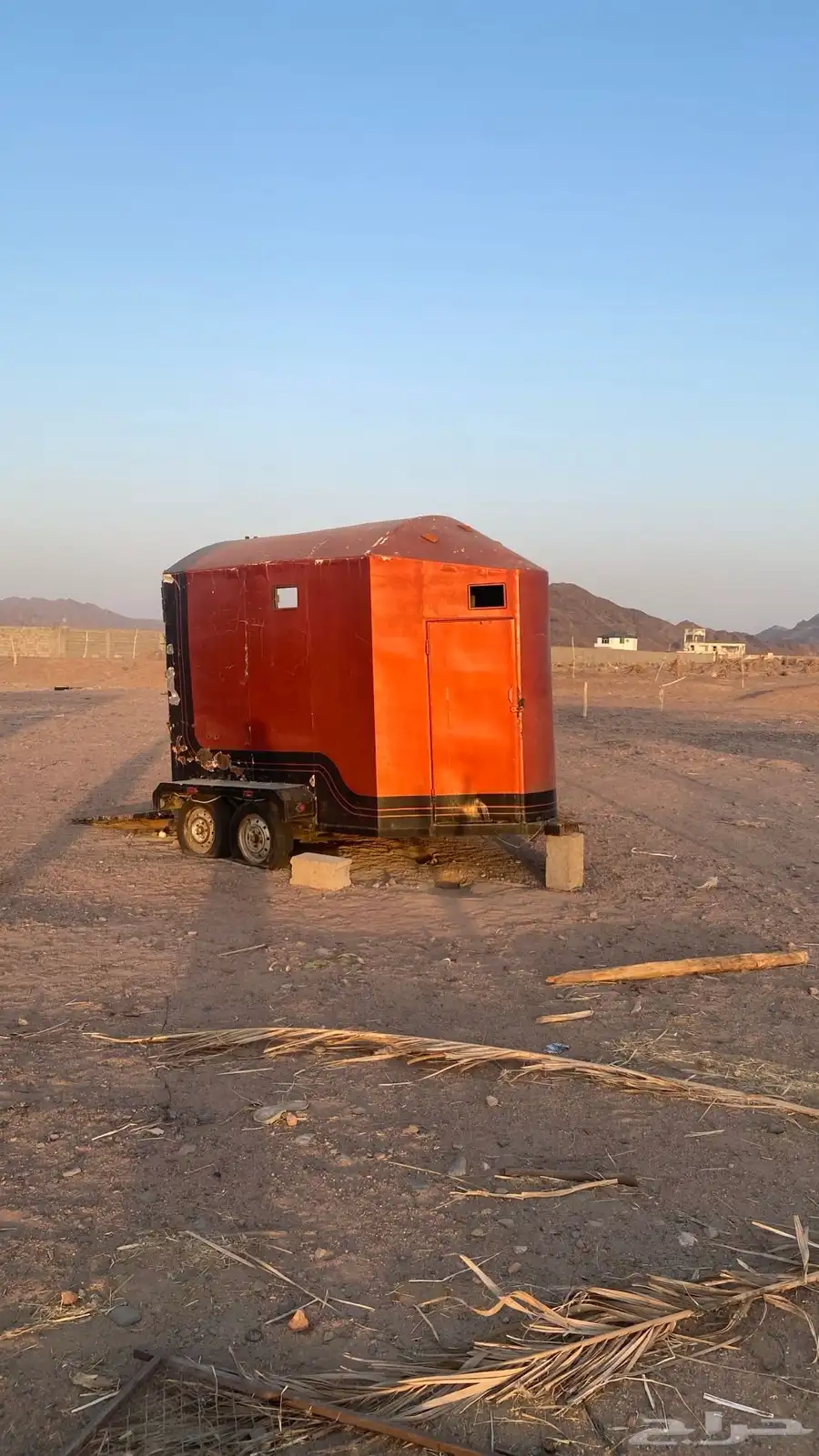 عربة خيل راسين للبيع 0