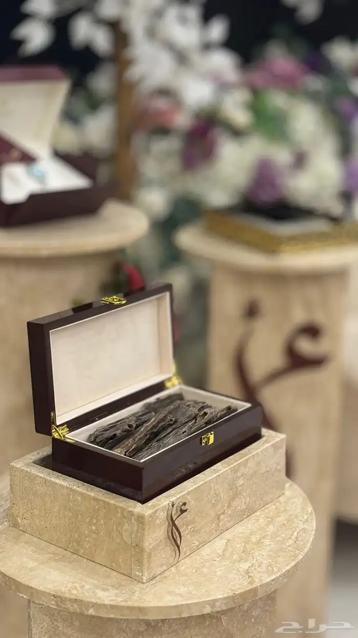 دزه شبكة الملكه للايجار 4