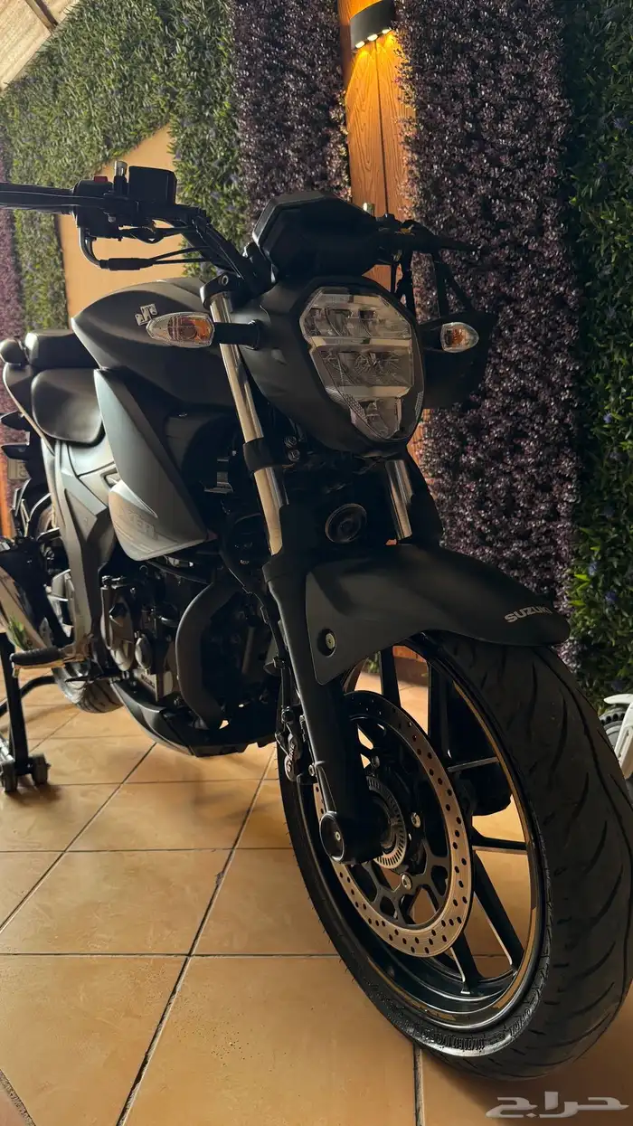 دباب سزوكي 250 استريت فايتر وكالة استخدام نظيف 5