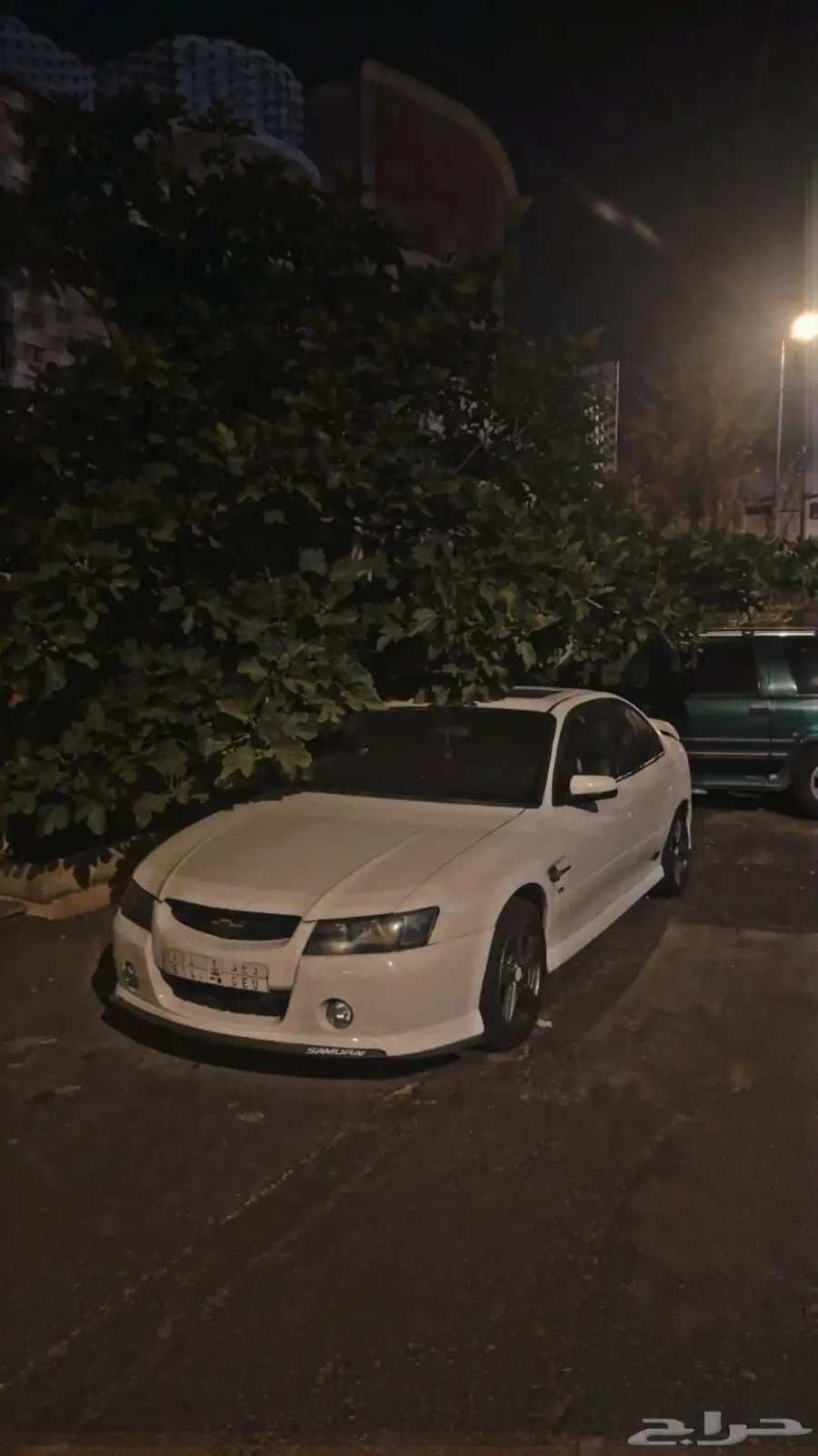 لومينه 2006ss 4