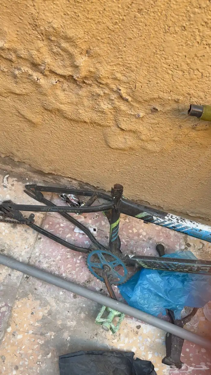 هياكل رامبو وجنوط وهياكل كوبرا 2