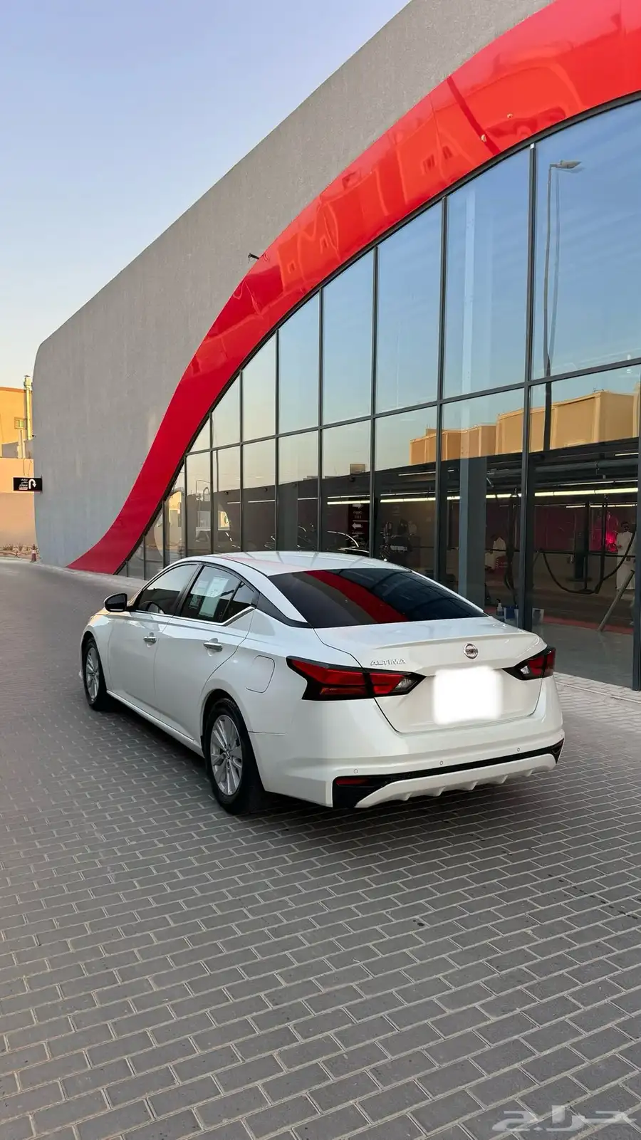 التيماء 2021 ستاندر 6