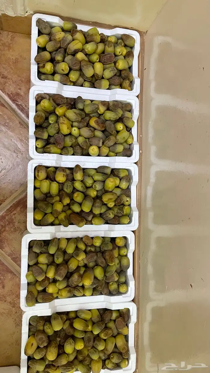 رطب سمنة قدح وبرني وخضري وليمون 1