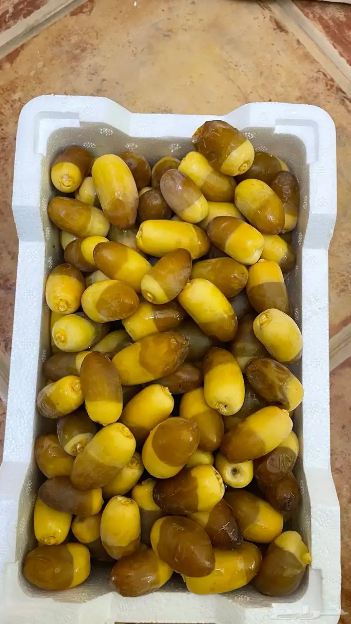 رطب سمنة قدح وبرني وخضري وليمون 0