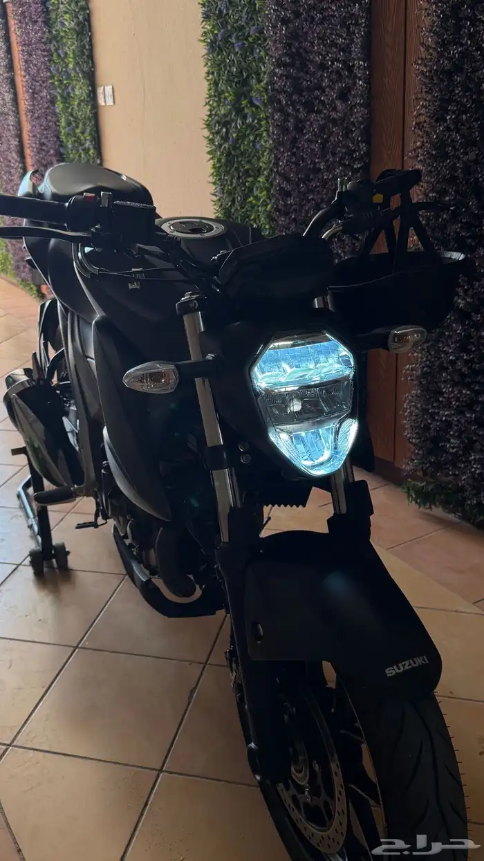 دباب سزوكي 250 استريت فايتر وكالة استخدام نظيف 2