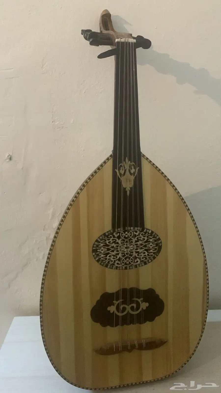 عود مصري 1