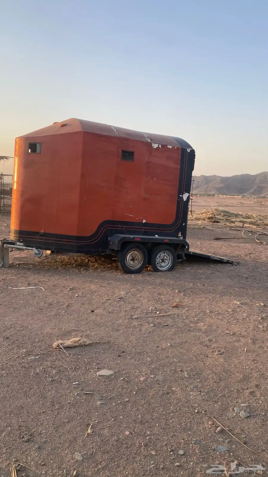 عربة خيل راسين للبيع 1