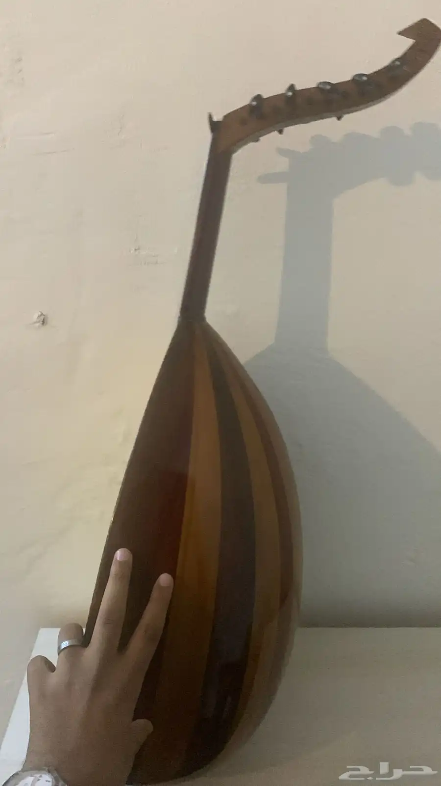 عود مصري 2