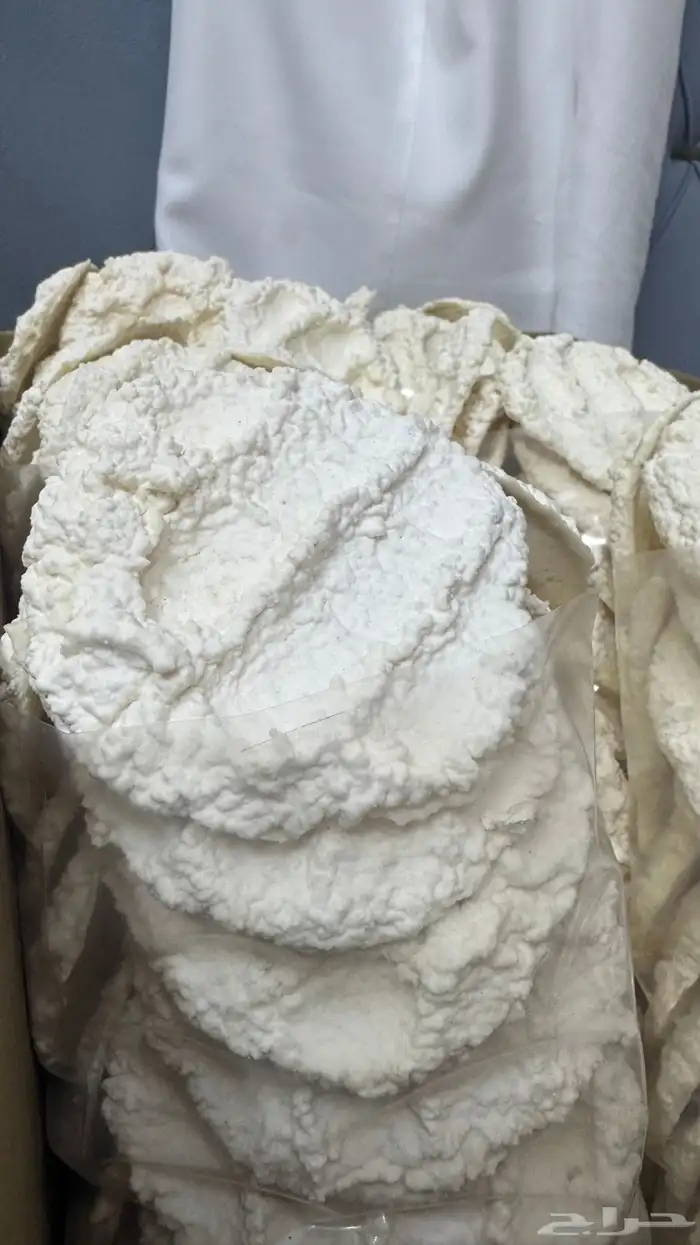 مضير -بقل-اقط 1