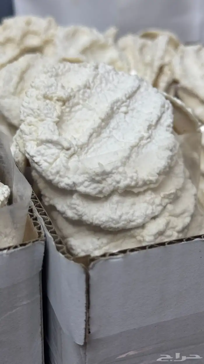 مضير -بقل-اقط 2