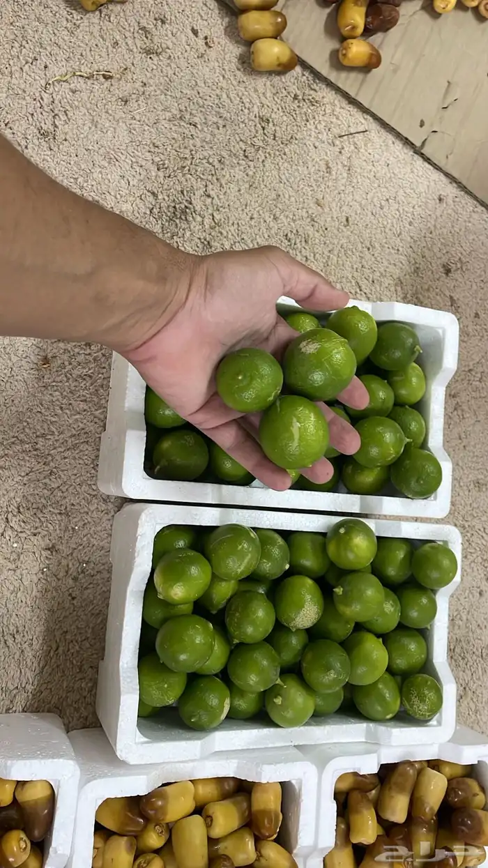 رطب سمنة قدح وبرني وخضري وليمون 4