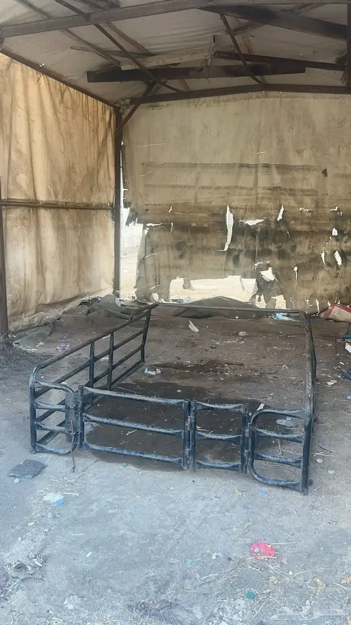 شد ددسن غماره لددسن 1
