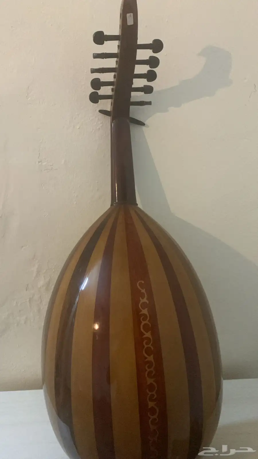 عود مصري 0