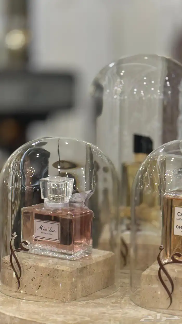 دزه شبكة الملكه للايجار 2