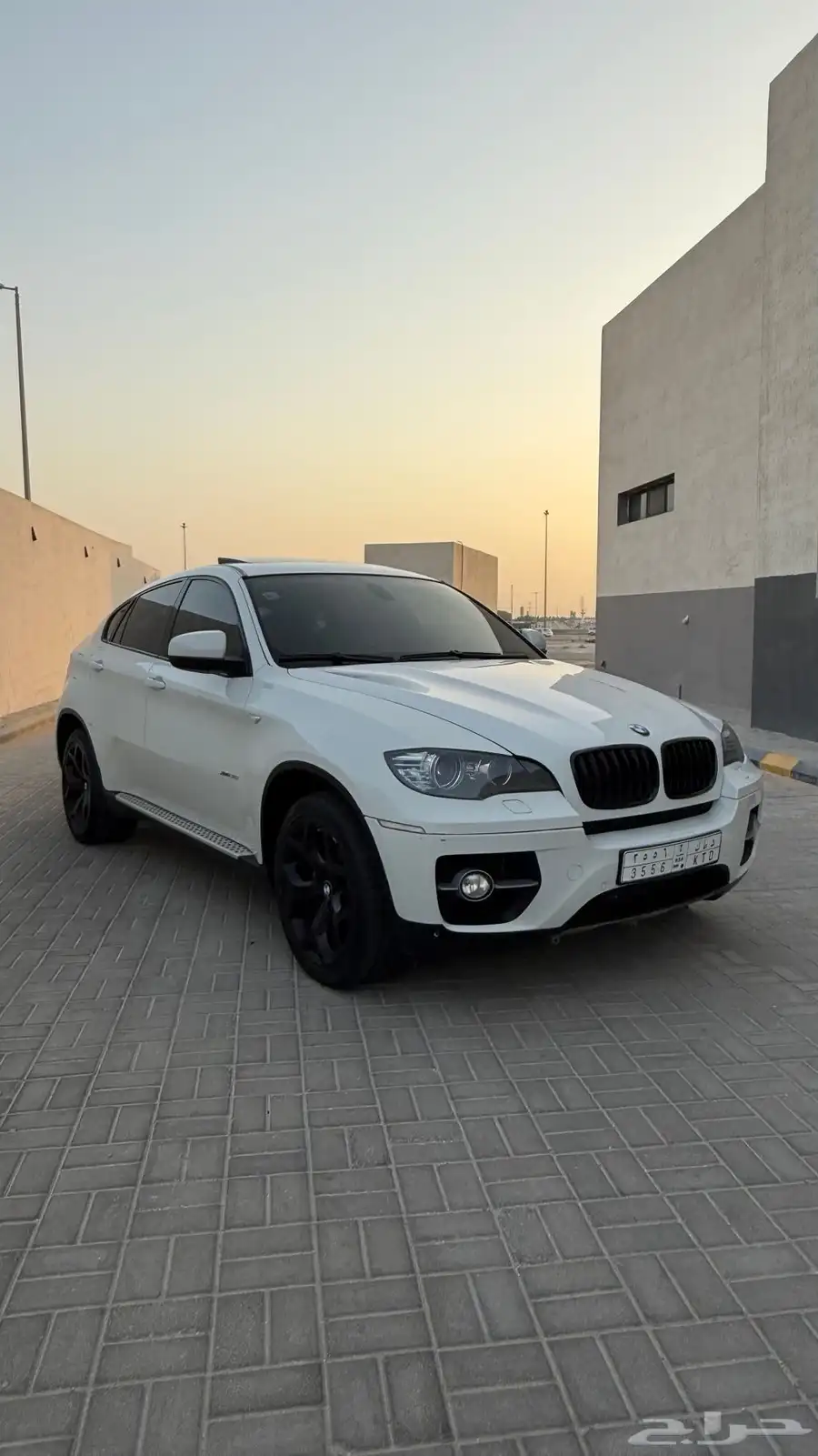 BMW 2009 X6 1