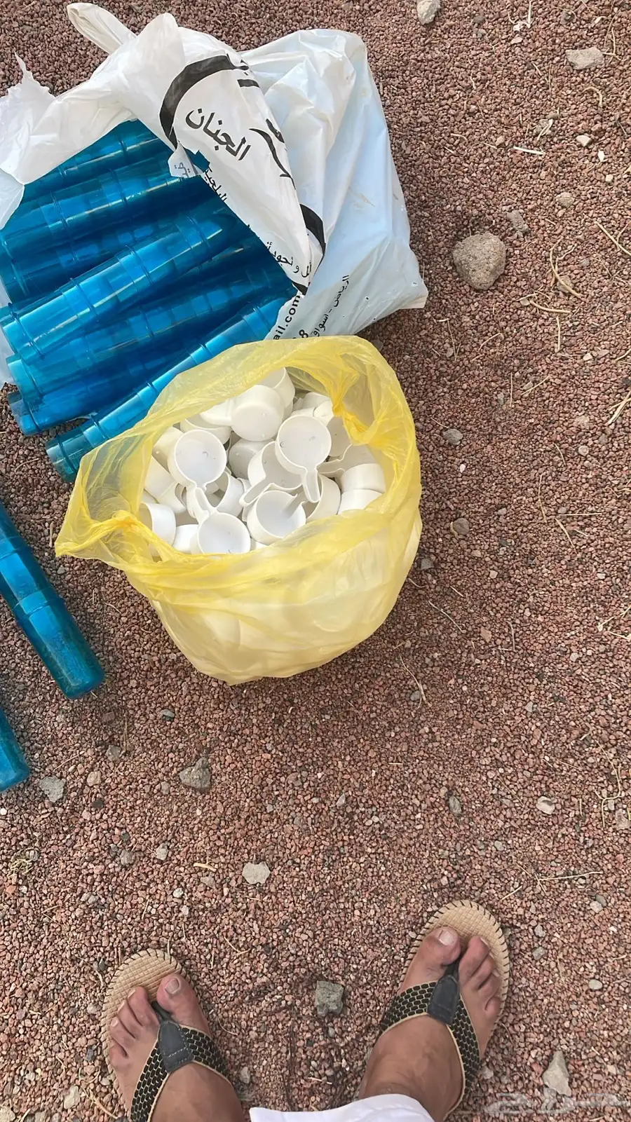 للبيع مشربيات طيور حجم وسط وحجم صغير 2